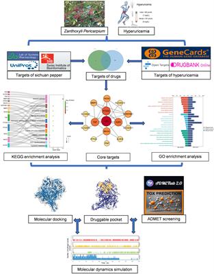 Potential candidates from a functional food Zanthoxyli Pericarpium (Sichuan pepper) for the management of hyperuricemia: high-through virtual screening, network pharmacology and dynamics simulations